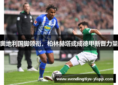 奥地利国脚领衔，柏林赫塔或成德甲新晋力量