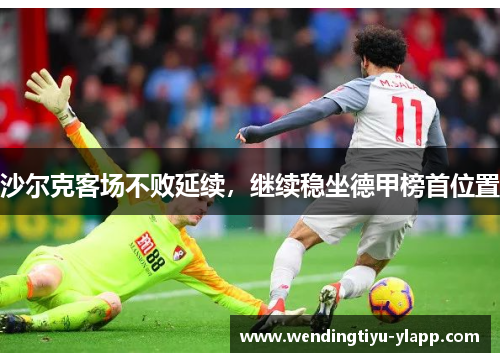 沙尔克客场不败延续，继续稳坐德甲榜首位置