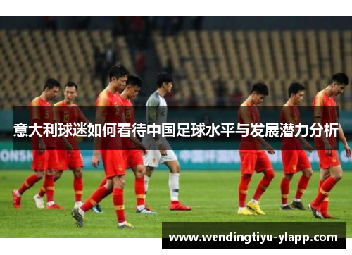 意大利球迷如何看待中国足球水平与发展潜力分析