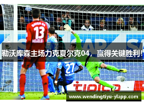 勒沃库森主场力克夏尔克04，赢得关键胜利！