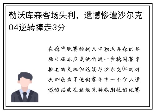 勒沃库森客场失利，遗憾惨遭沙尔克04逆转捧走3分
