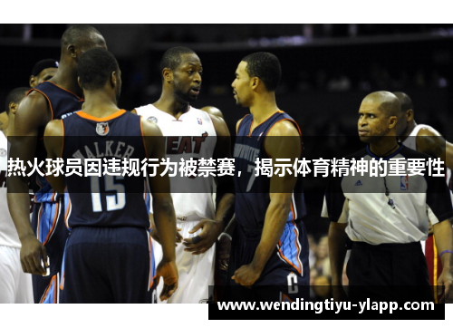 热火球员因违规行为被禁赛，揭示体育精神的重要性