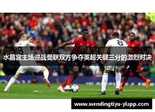 水晶宫主场迎战曼联双方争夺英超关键三分的激烈对决