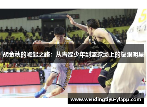 胡金秋的崛起之路：从青涩少年到篮球场上的耀眼明星