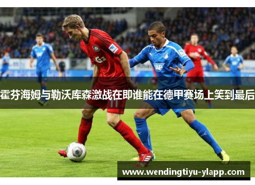 霍芬海姆与勒沃库森激战在即谁能在德甲赛场上笑到最后